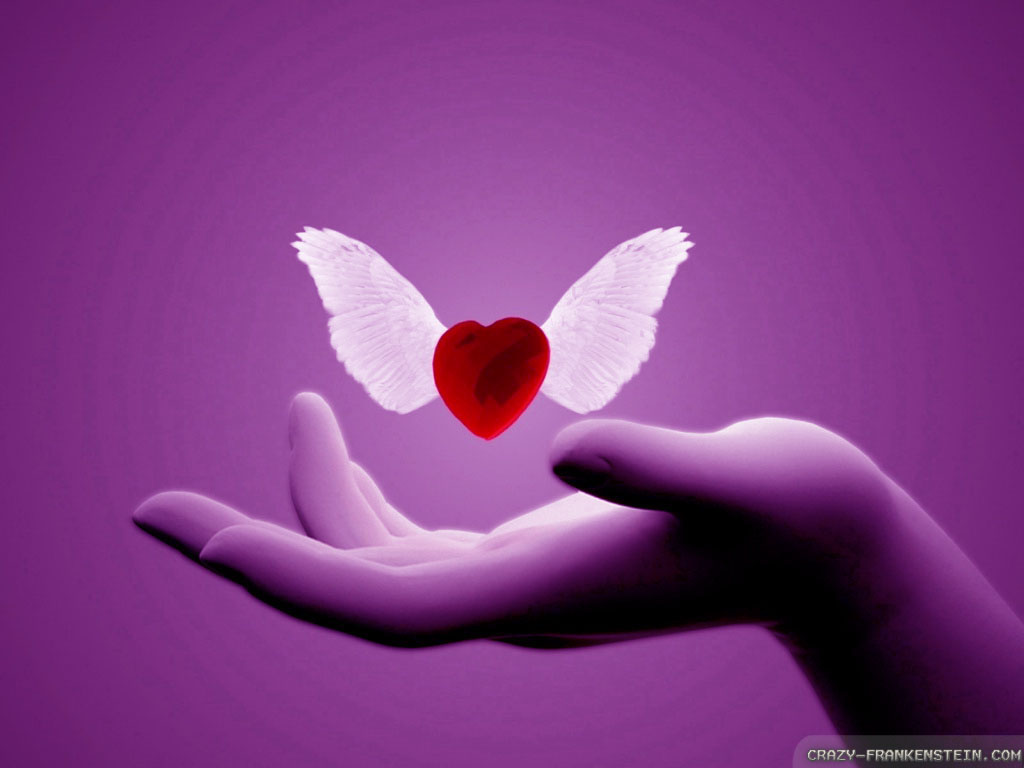 romantic 3d wallpaper,pink,butterfly,violet,purple,hand