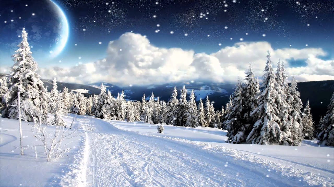 애니메이션 겨울 벽지,눈,겨울,하늘,자연,나무
