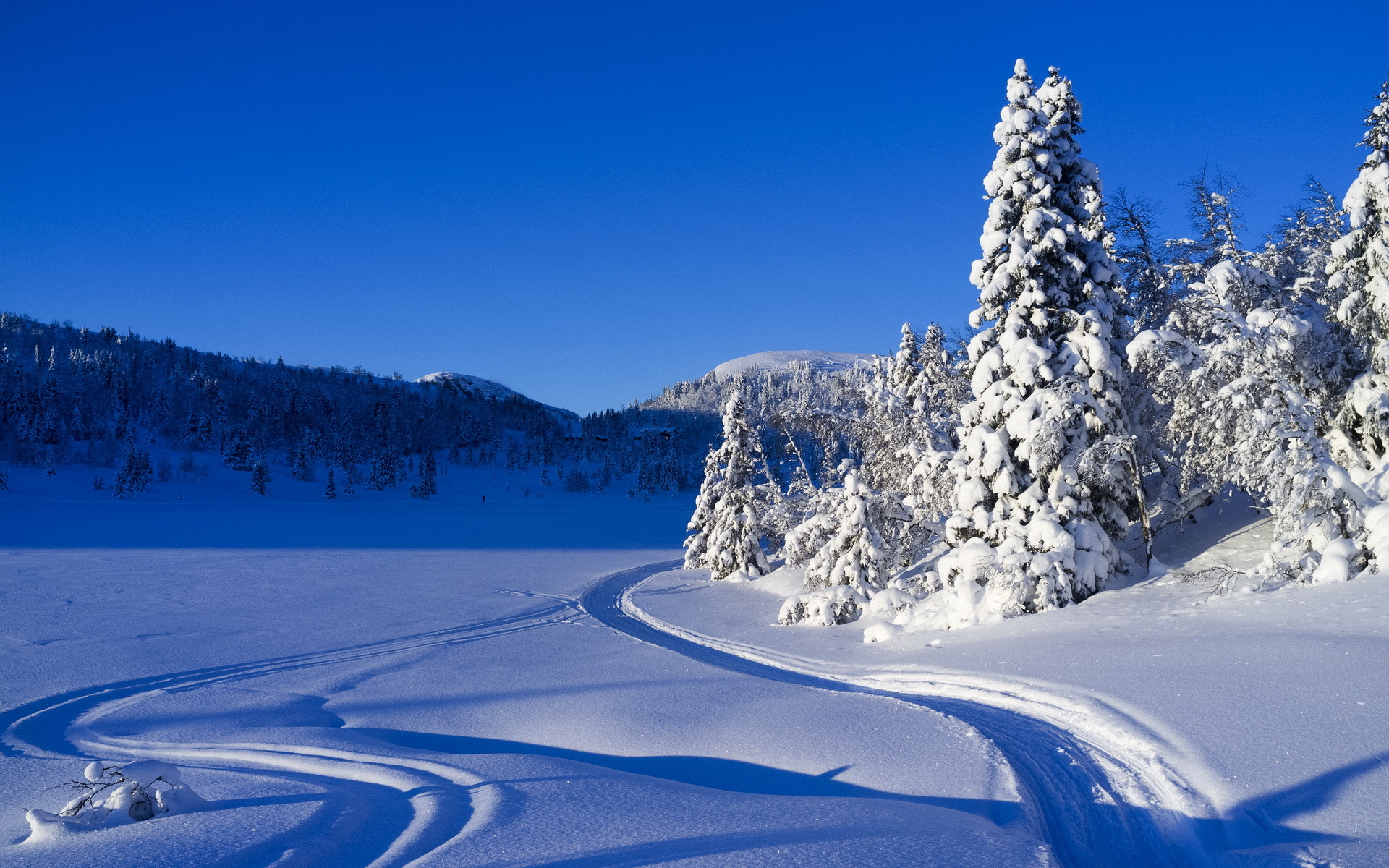 carta da parati invernale 3d,neve,inverno,natura,cielo,blu