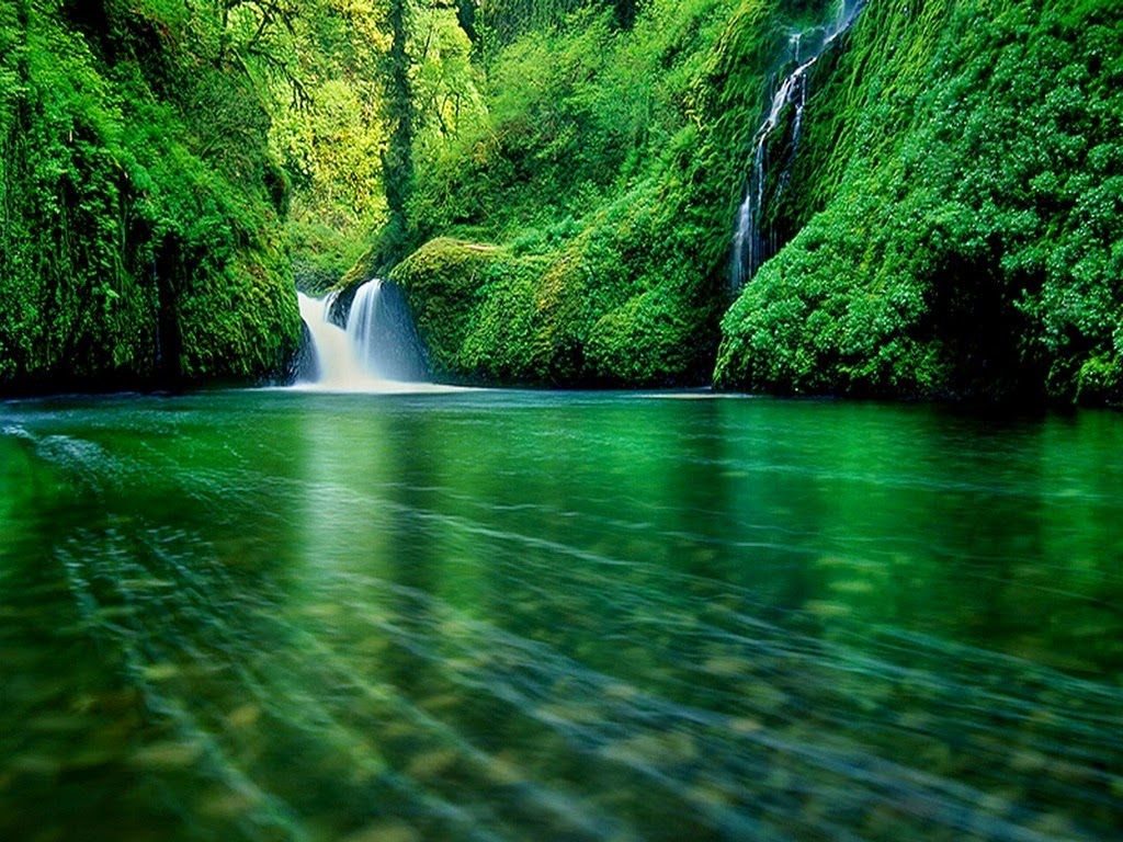 アニメーションの滝の壁紙,自然の風景,水域,水資源,自然,緑