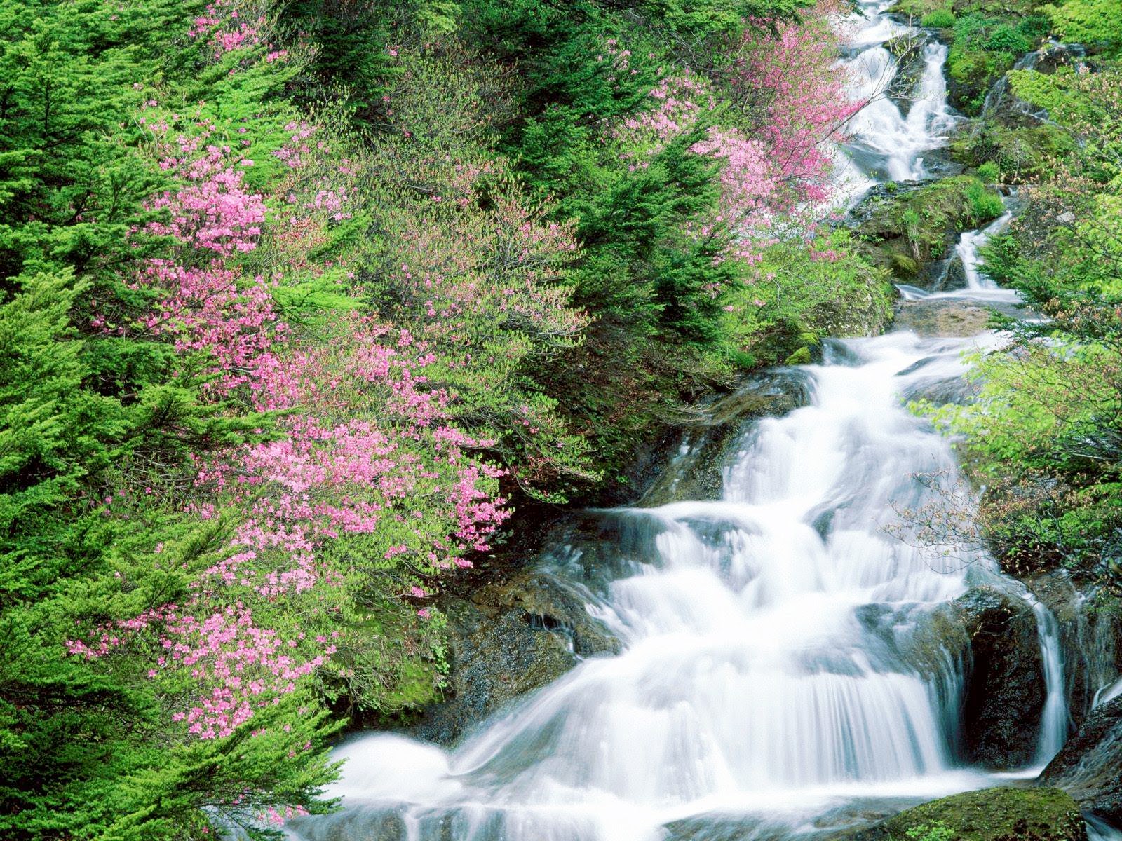 carta da parati a cascata animata,risorse idriche,cascata,corpo d'acqua,paesaggio naturale,natura