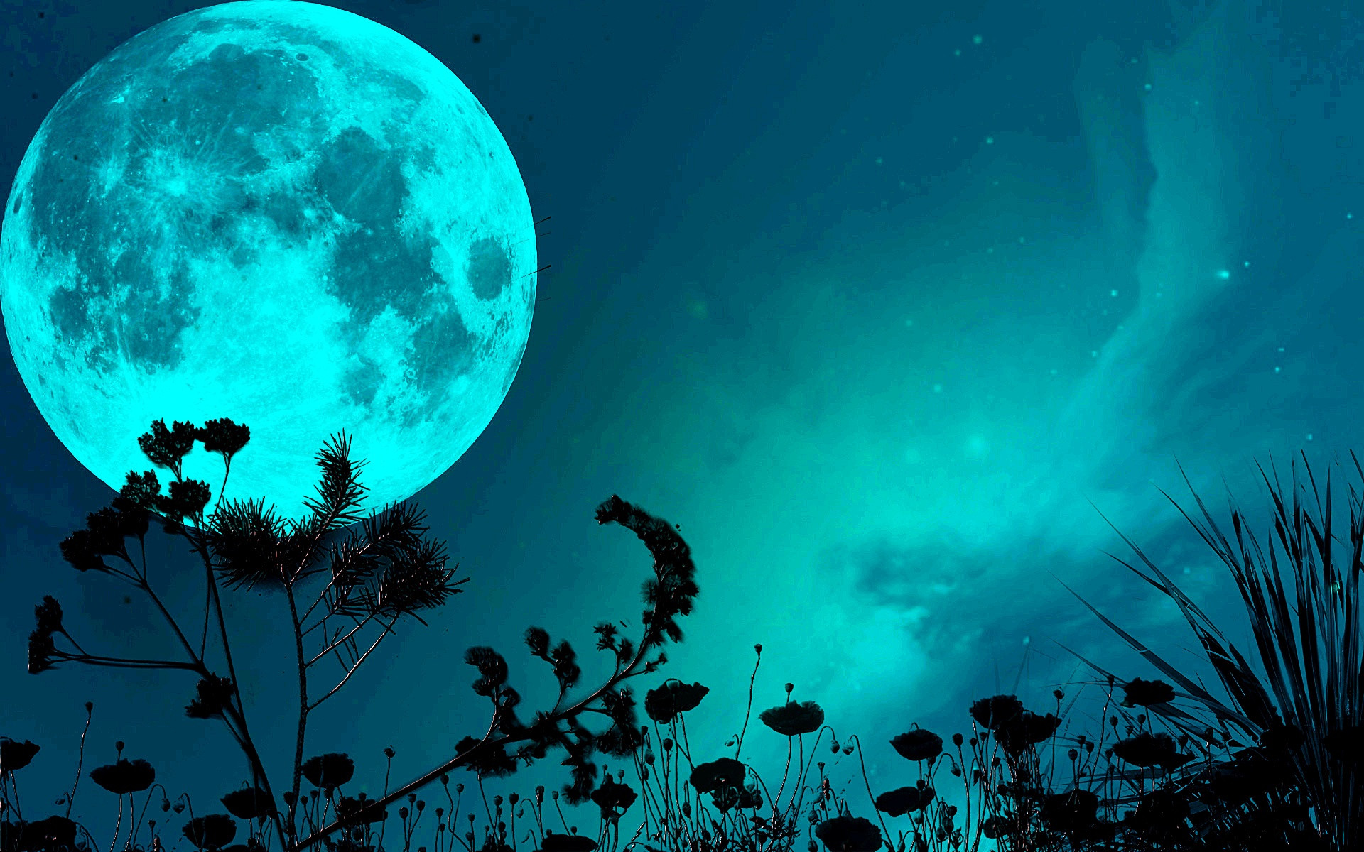 ブルームーン壁紙,空,自然,月,青い,天体
