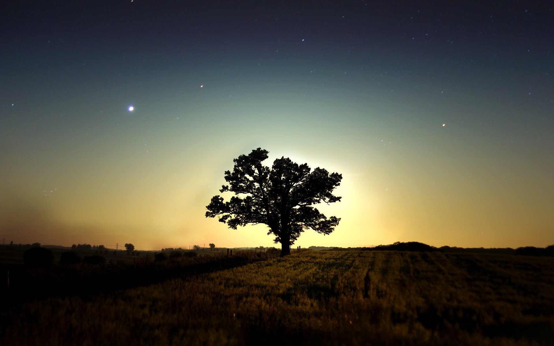 night nature wallpaper,sky,natural landscape,nature,tree,horizon