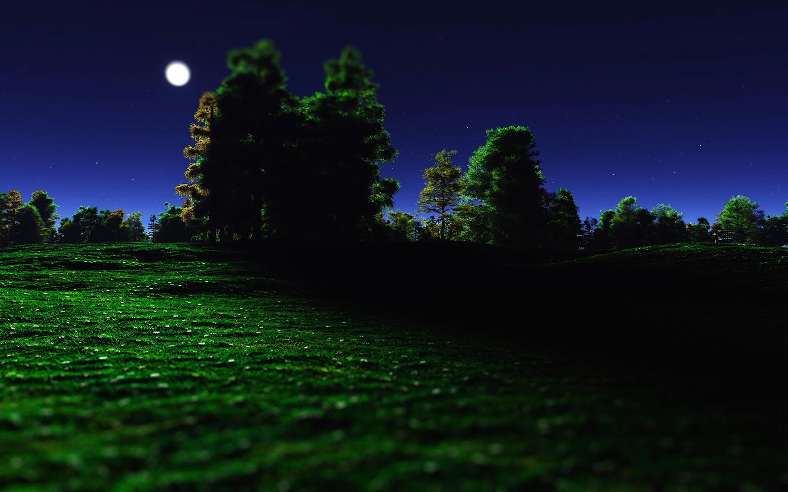 night nature wallpaper,sky,green,nature,natural landscape,light