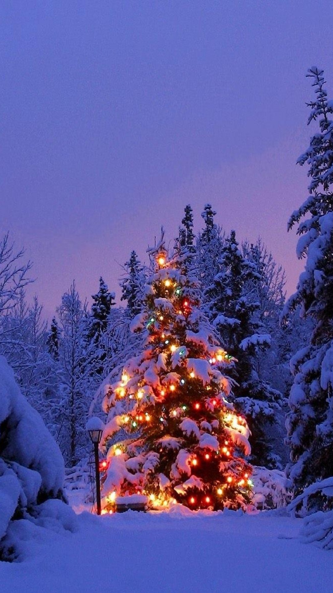 carta da parati di natale neve,albero di natale,albero,inverno,decorazione natalizia,neve