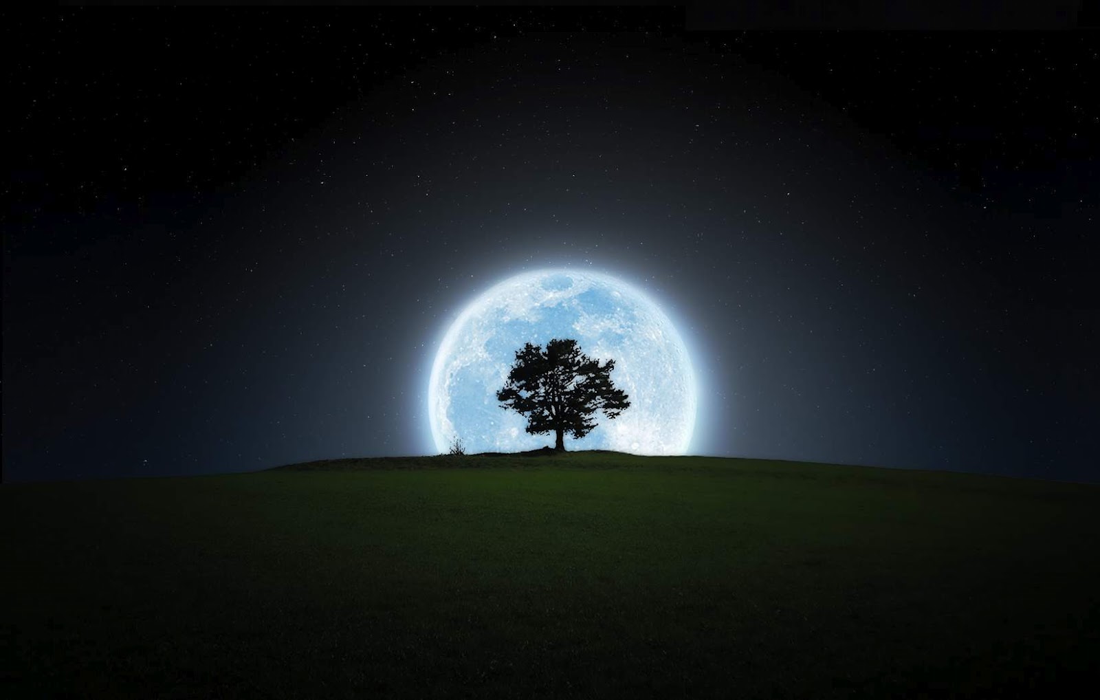 달 벽지 풀 hd,하늘,자연,나무,분위기,빛