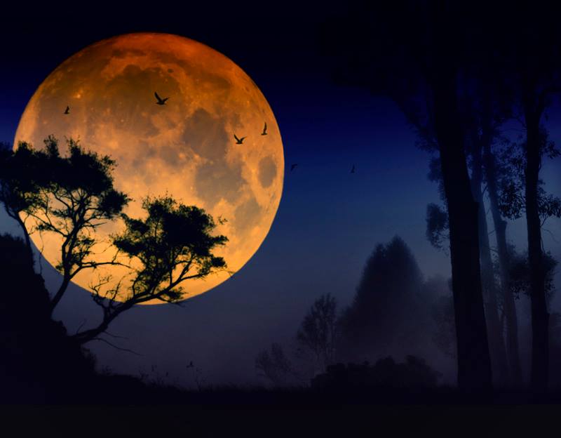 아름다운 달 벽지,달,하늘,자연,보름달,월광