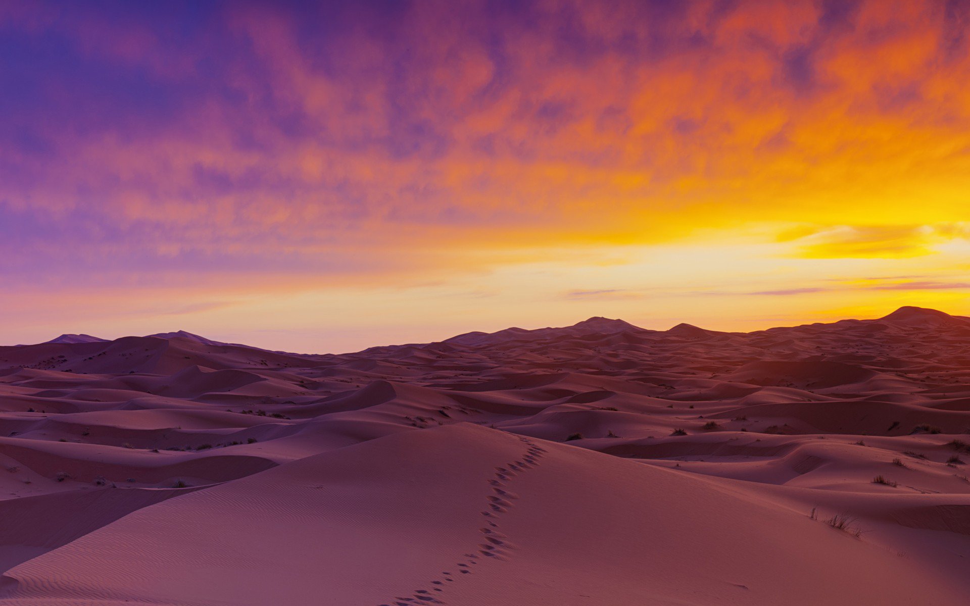 fond d'écran sahara,ciel,désert,la nature,le sable,horizon