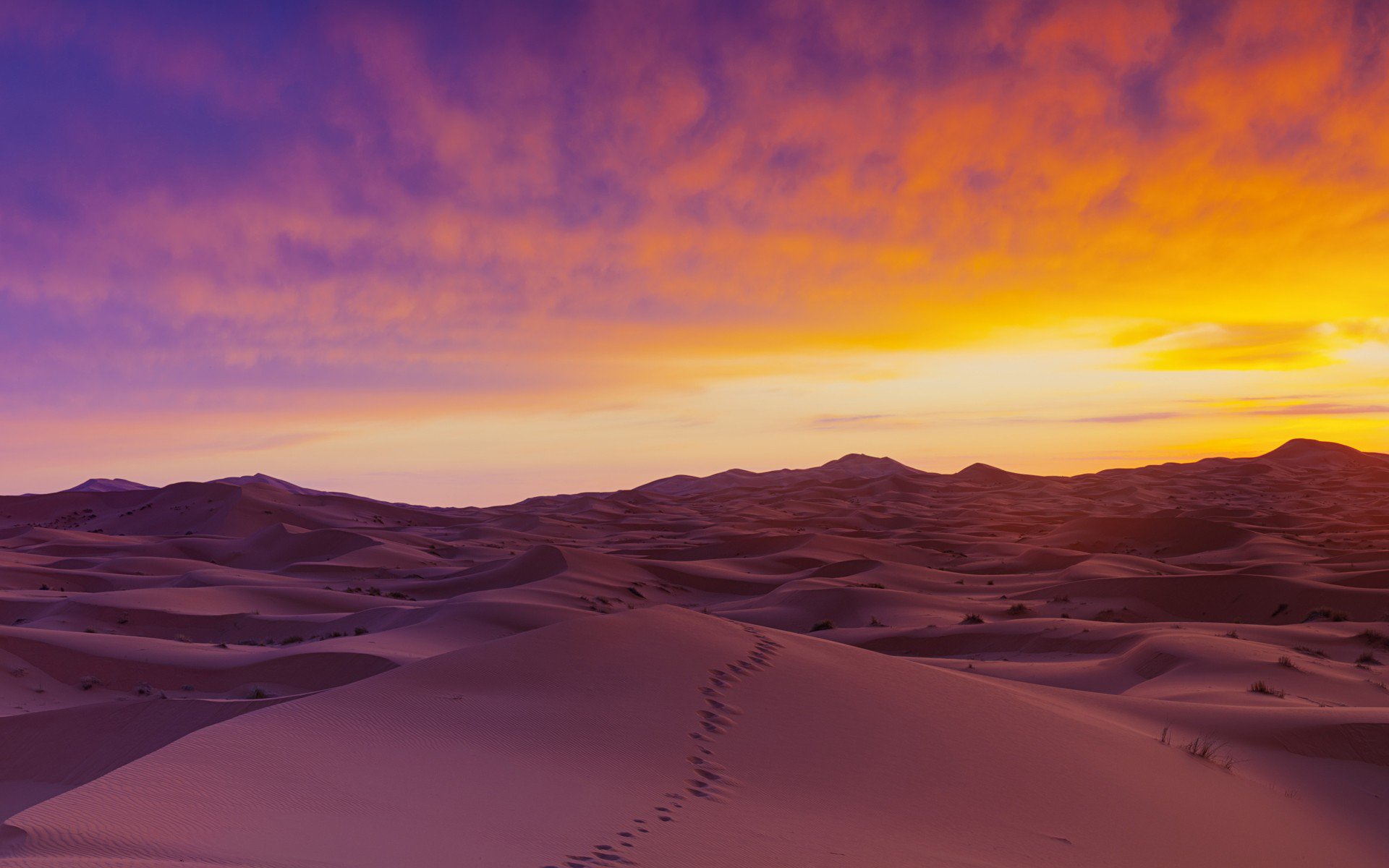 Sahara Desert Wallpaper 4k WallpaperUse