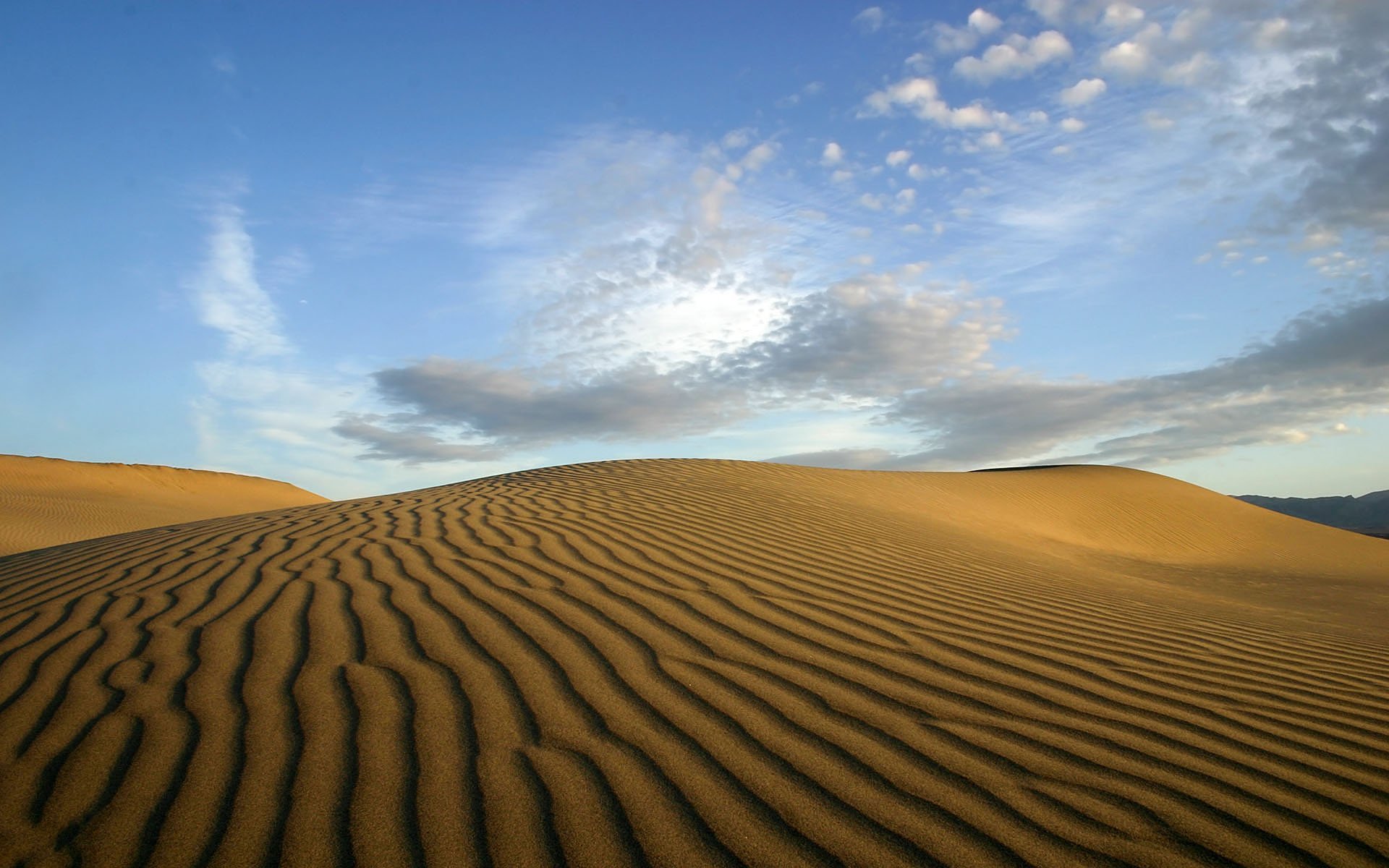 사하라 벽지,사막,모래,에르그,자연,하늘