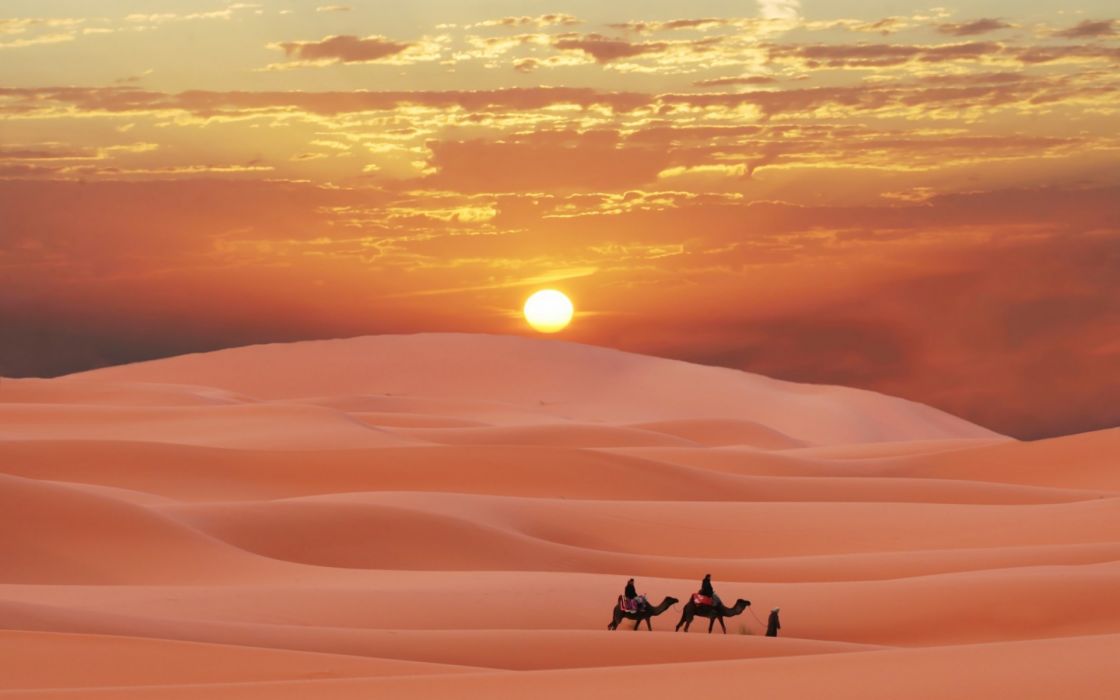 사하라 벽지,사막,하늘,사하라,에르그,경치