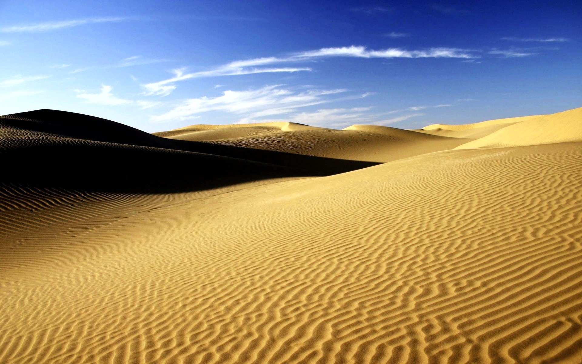 fond d'écran sahara,désert,le sable,erg,dune,la nature