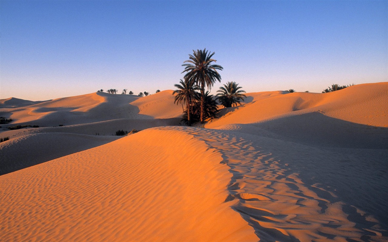 fond d'écran sahara,désert,erg,le sable,sahara,ciel