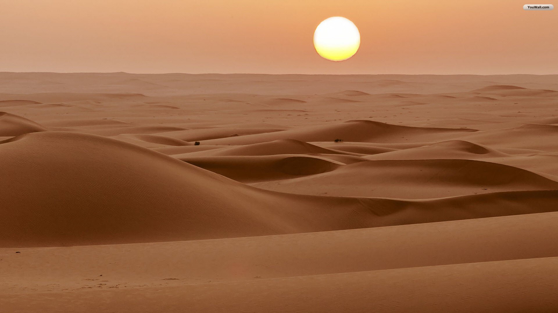 sahara wallpaper,desert,sand,erg,natural environment,aeolian landform