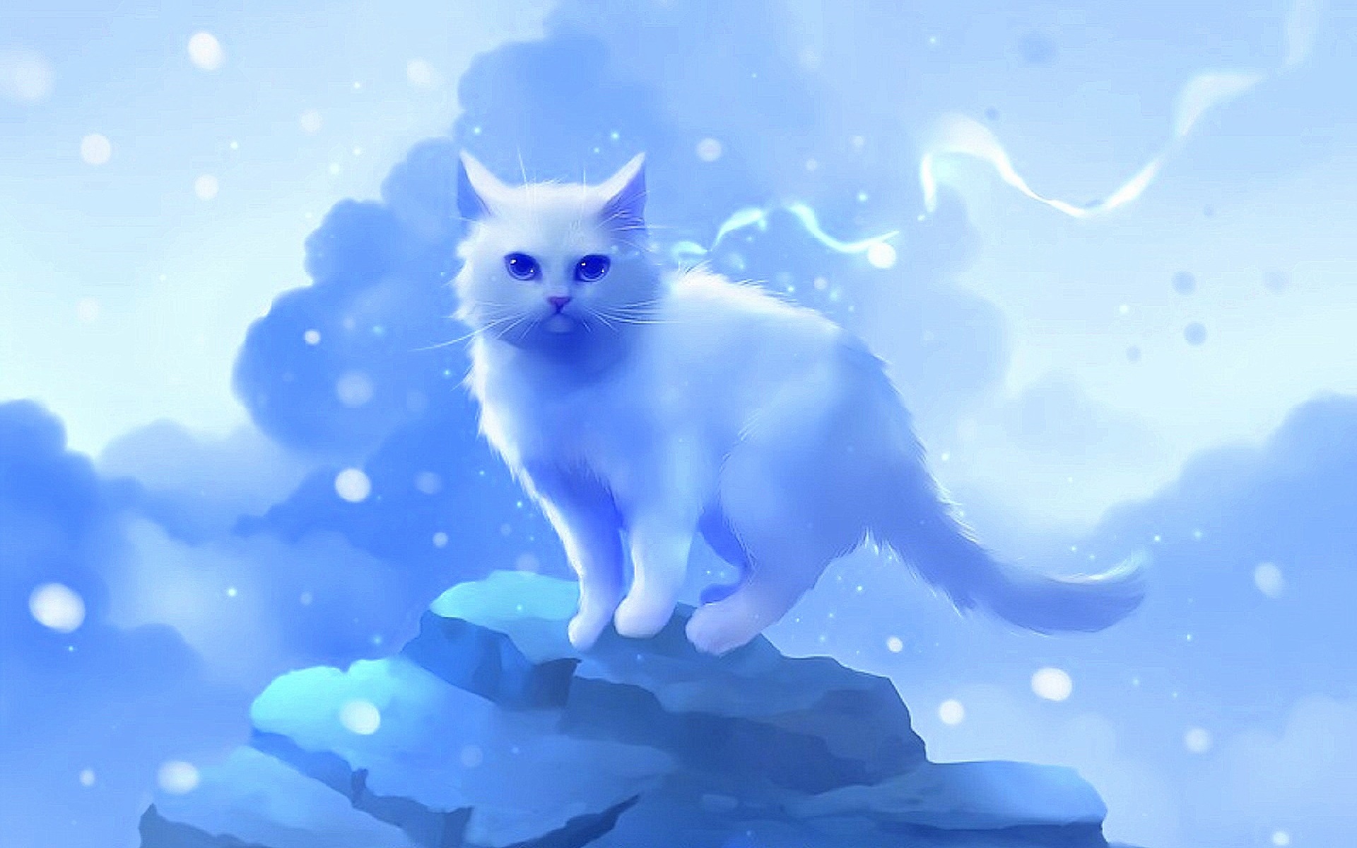 cute cloud wallpaper,cat,small to medium sized cats,felidae,whiskers,sky