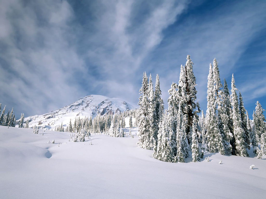雪の壁紙,雪,冬,自然,空,木