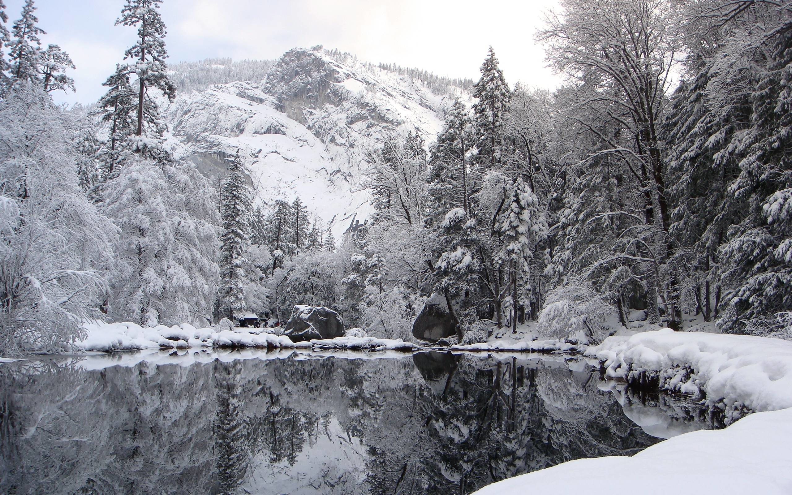 carta da parati innevata,neve,inverno,natura,acqua,paesaggio naturale