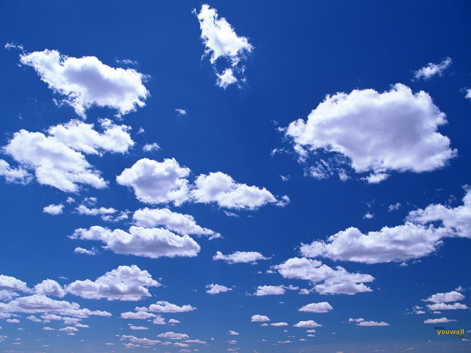 雲空の壁紙,空,雲,昼間,青い,積雲