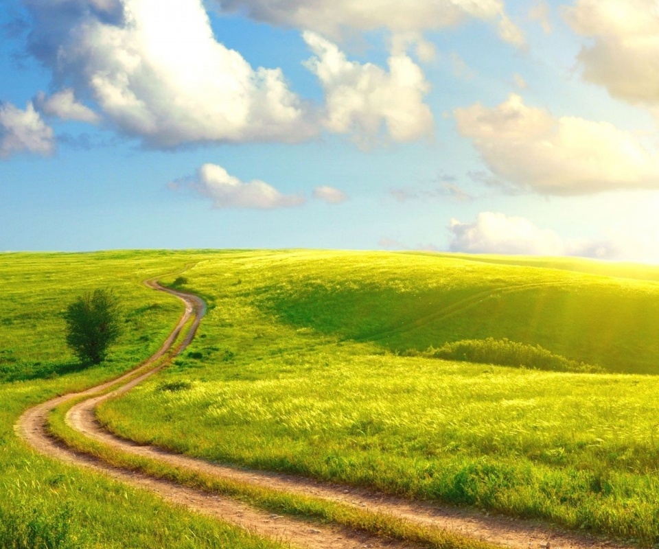 삼성 갤럭시 그랜드 듀오 배경 화면,자연 경관,목초지,자연,들,하늘