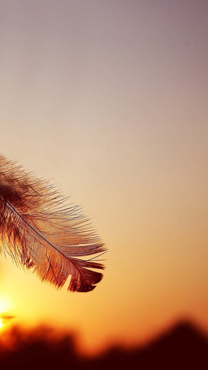 galaxy grand prime wallpaper,nature,sky,macro photography,close up,feather