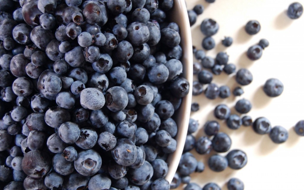 Berry Blueberry Hd Wallpaper - Blueberry High Res- WallpaperUse