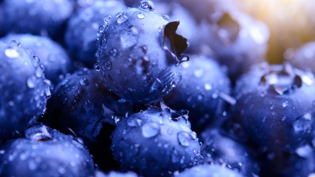 blueberry wallpaper,blueberry,berry,fruit,superfood,bilberry