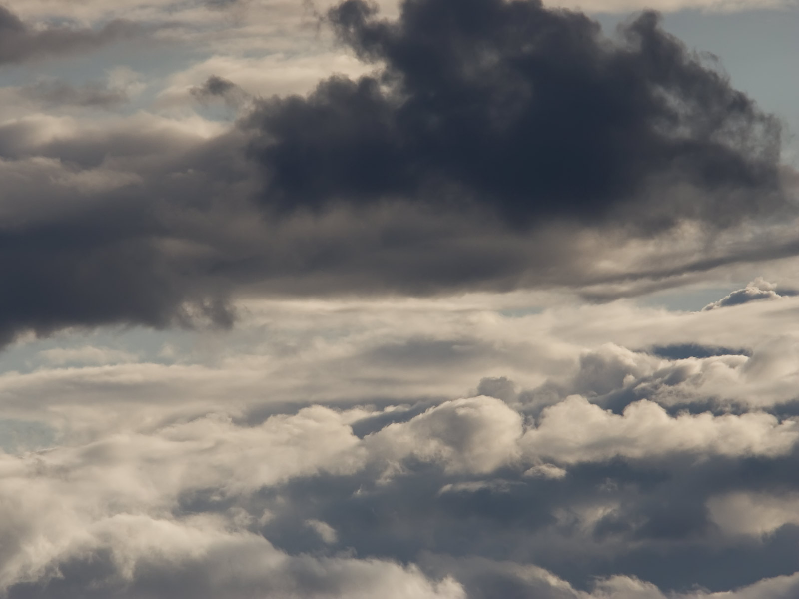 fond d'écran nuage gris,ciel,nuage,jour,cumulus,atmosphère