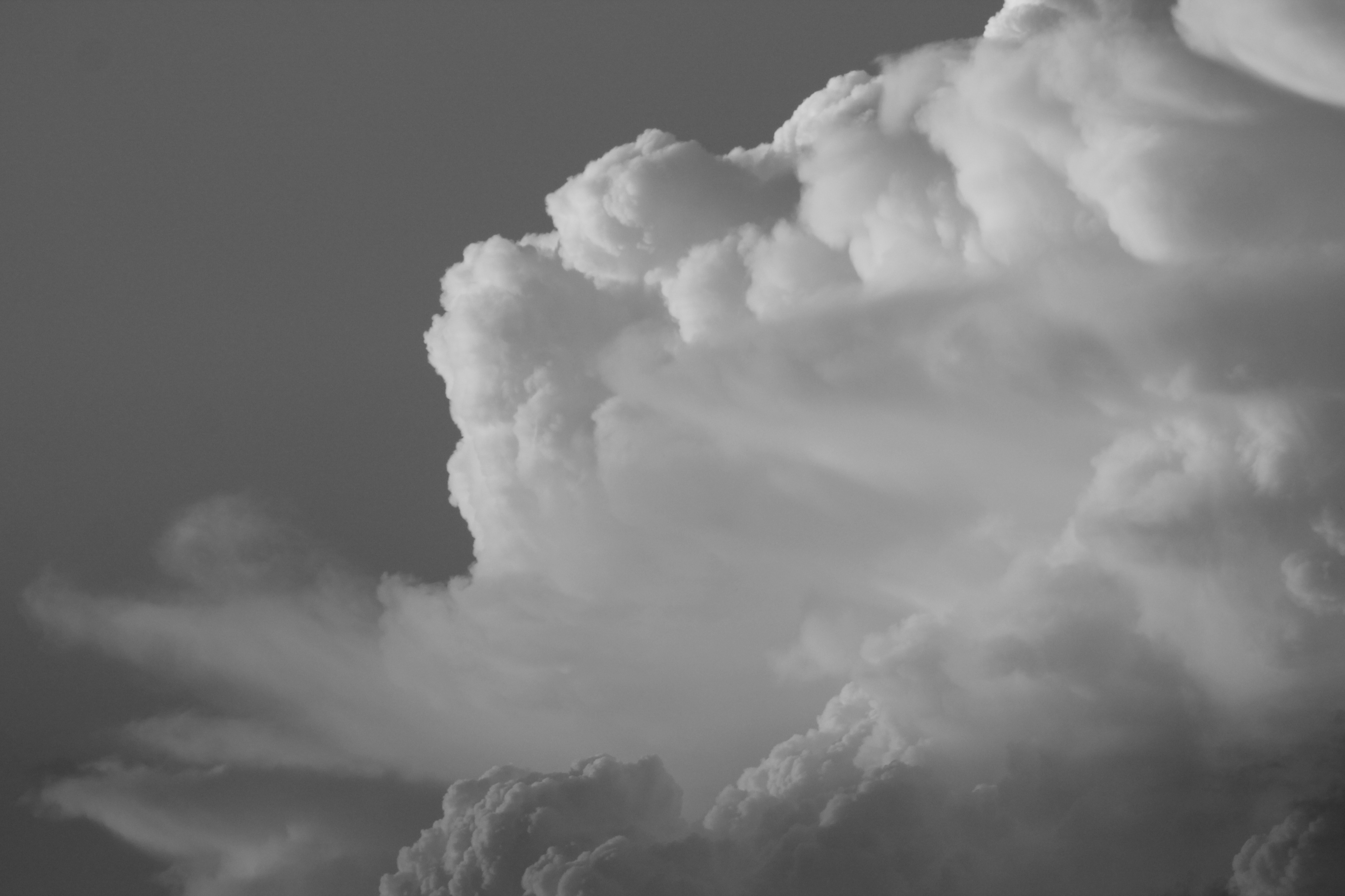 fond d'écran nuage gris,nuage,ciel,blanc,cumulus,jour