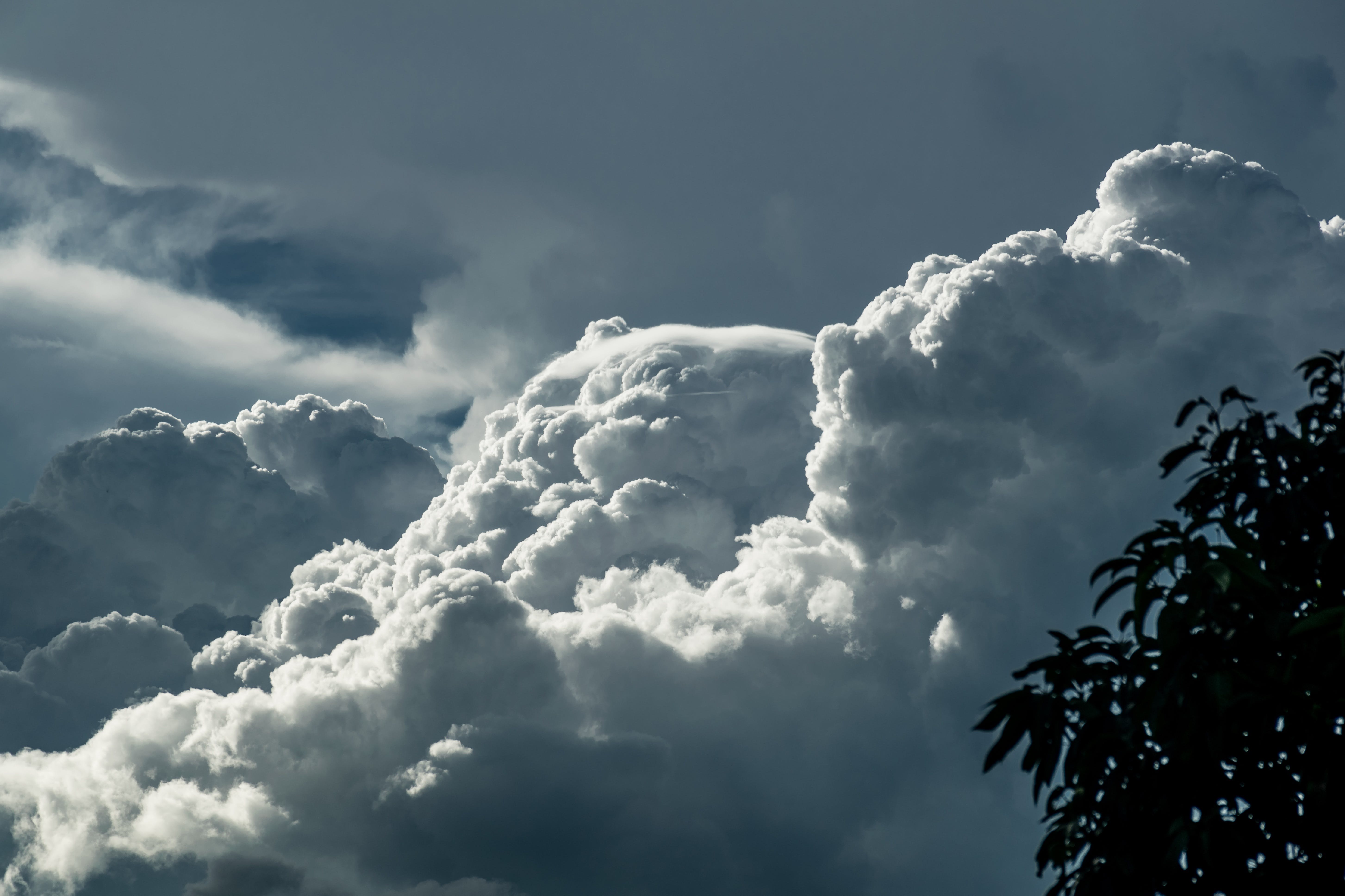 grey cloud wallpaper,sky,cloud,cumulus,daytime,atmosphere