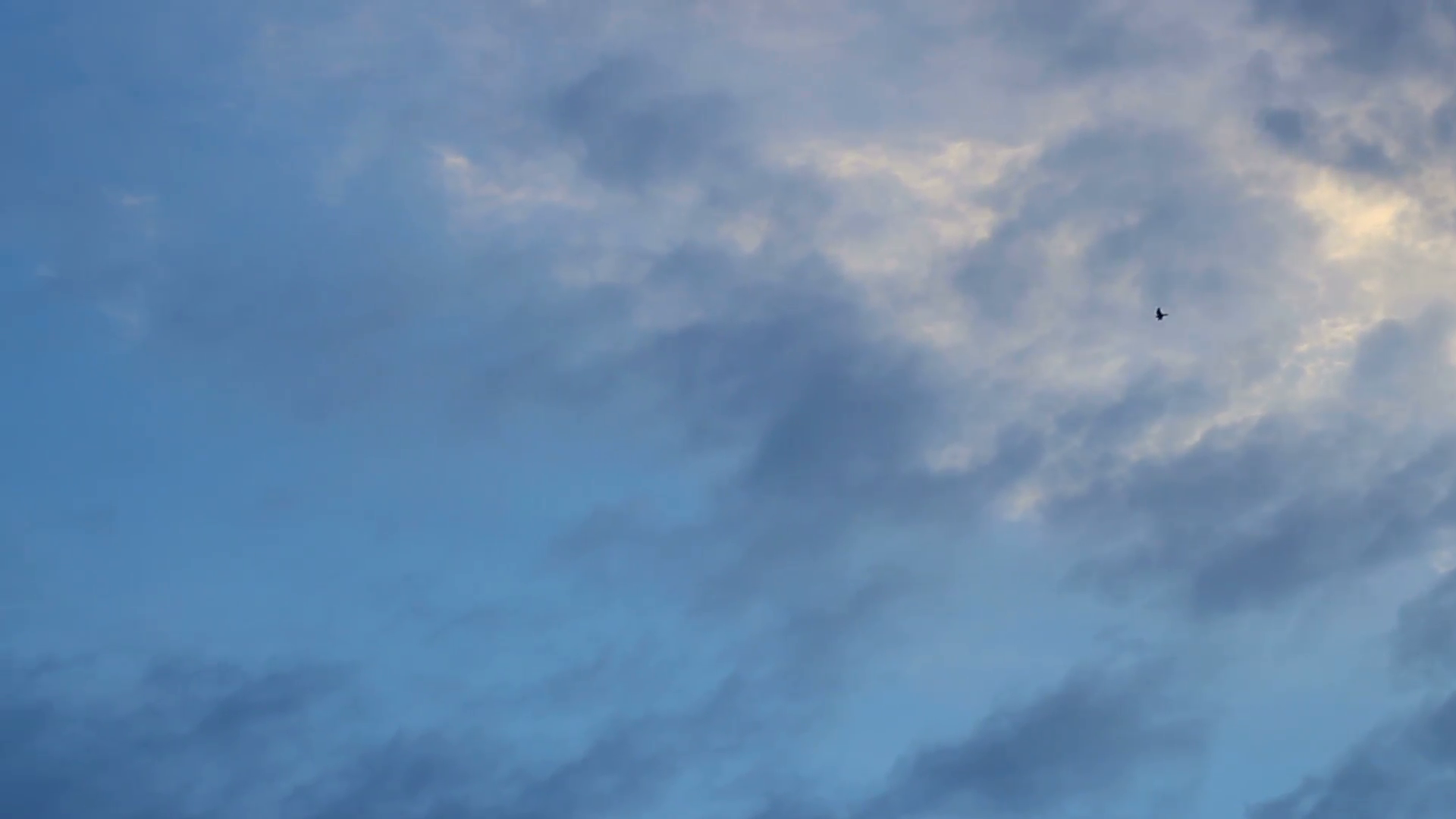 fondo de pantalla de nube gris,cielo,nube,azul,tiempo de día,atmósfera