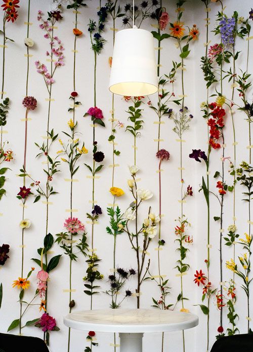 壁の花の壁紙,花,工場,花柄,野草,植木鉢