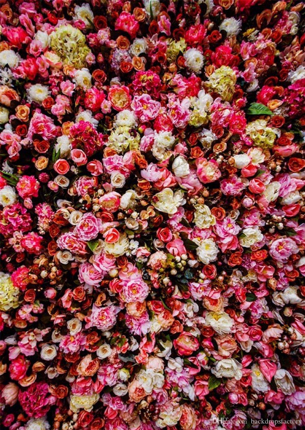 벽을위한 꽃 벽지,분홍,꽃,식물,무늬,장미
