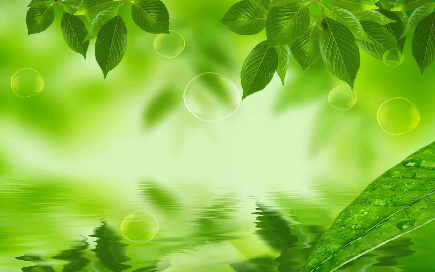 有機壁紙,緑,自然,葉,自然の風景,水