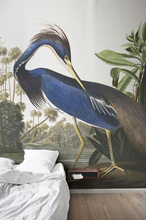 bird wallpaper for walls,bird,great blue heron,pelecaniformes,heron,egret