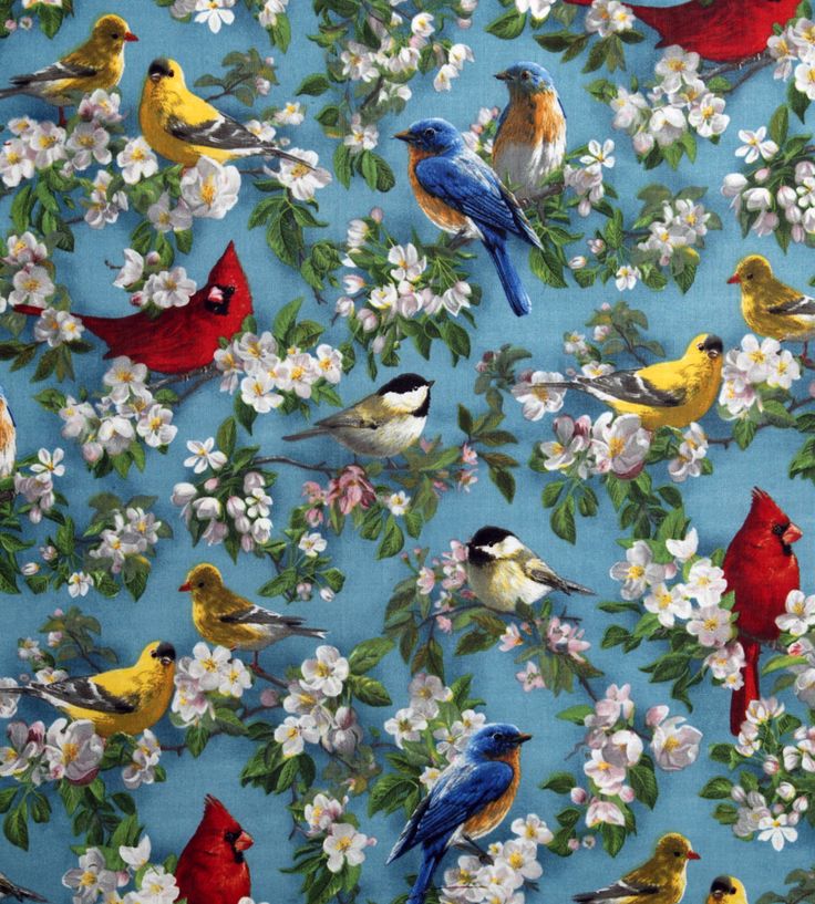 鳥プリント壁紙,鳥,パターン,繊維,設計,フィンチ