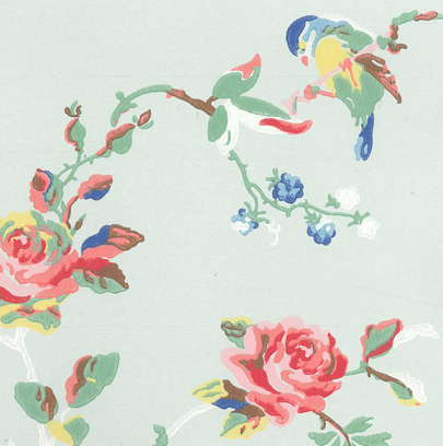 bird print wallpaper,product,botany,hummingbird,branch,illustration