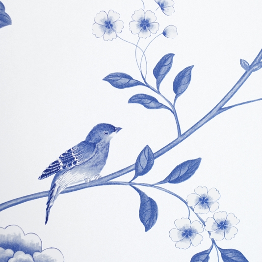 papier peint imprimé oiseau,oiseau,merlebleu de montagne,merle bleu,oiseau bleu,gommage geai