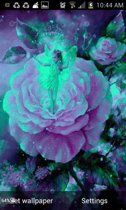 요정 퍼프 라이브 배경 화면,분홍,보라색,꽃,꽃잎,장미