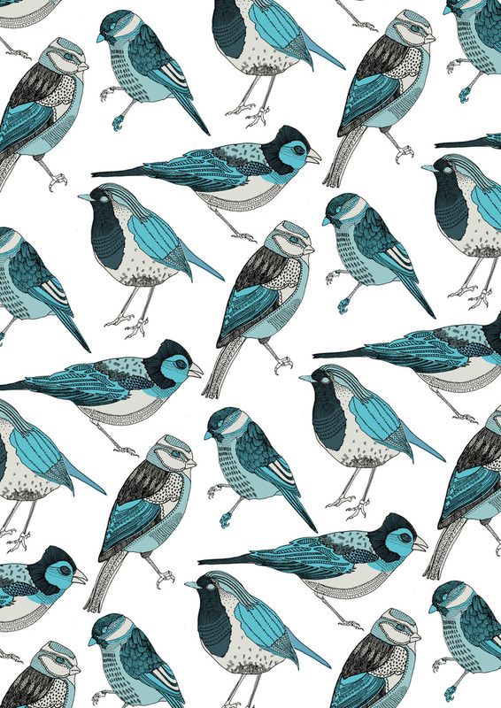 papel pintado con estampado de pájaros,pájaro,azul,agua,turquesa,verde azulado
