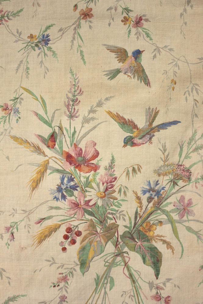 papel pintado con estampado de pájaros,colibrí,fondo de pantalla,textil,planta,modelo