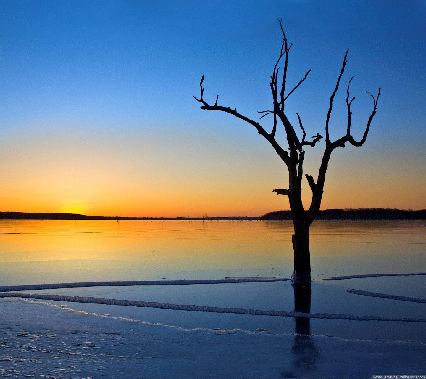 hermosos fondos de pantalla para samsung,cielo,paisaje natural,horizonte,naturaleza,árbol