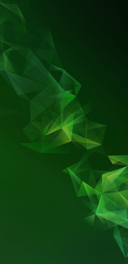 fondo de pantalla oficial de samsung,verde,hoja,animación,ilustración,modelo