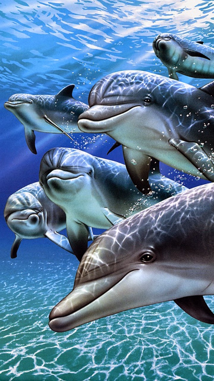 wallpaper untuk samsung,vertebrate,dolphin,common bottlenose dolphin,bottlenose dolphin,short beaked common dolphin