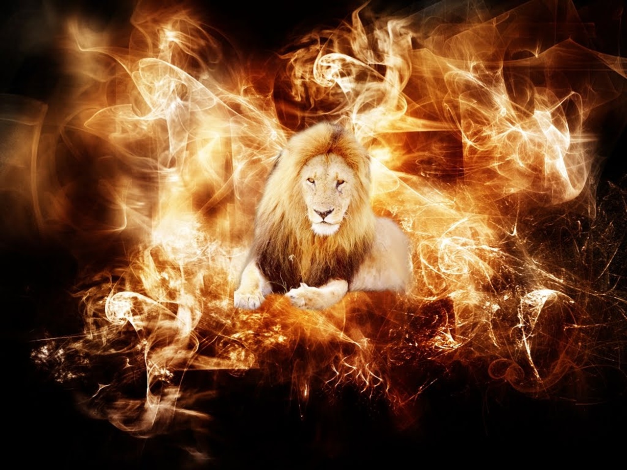fondo de pantalla de león de fuego,fuego,fuego,calor,mitología,fuente