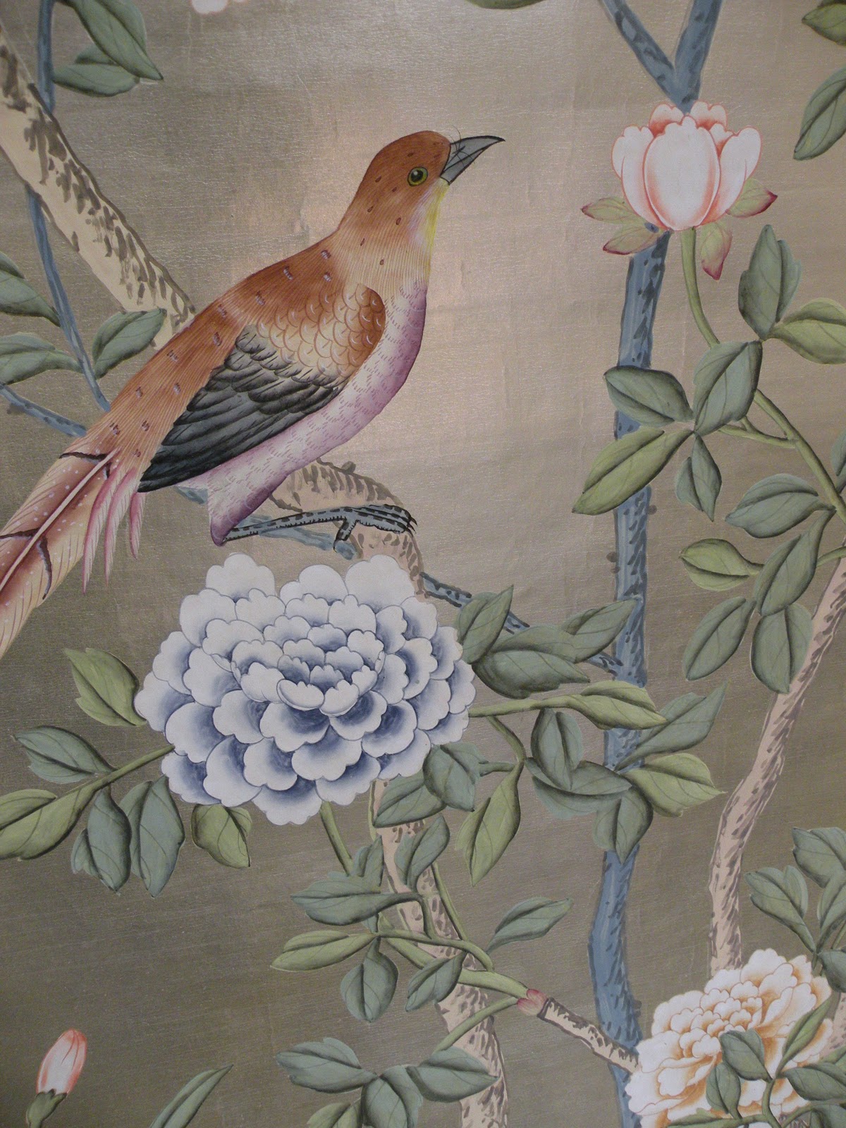 gournay wallpaper,vogel,drossel,gemälde,aquarellfarbe,pflanze