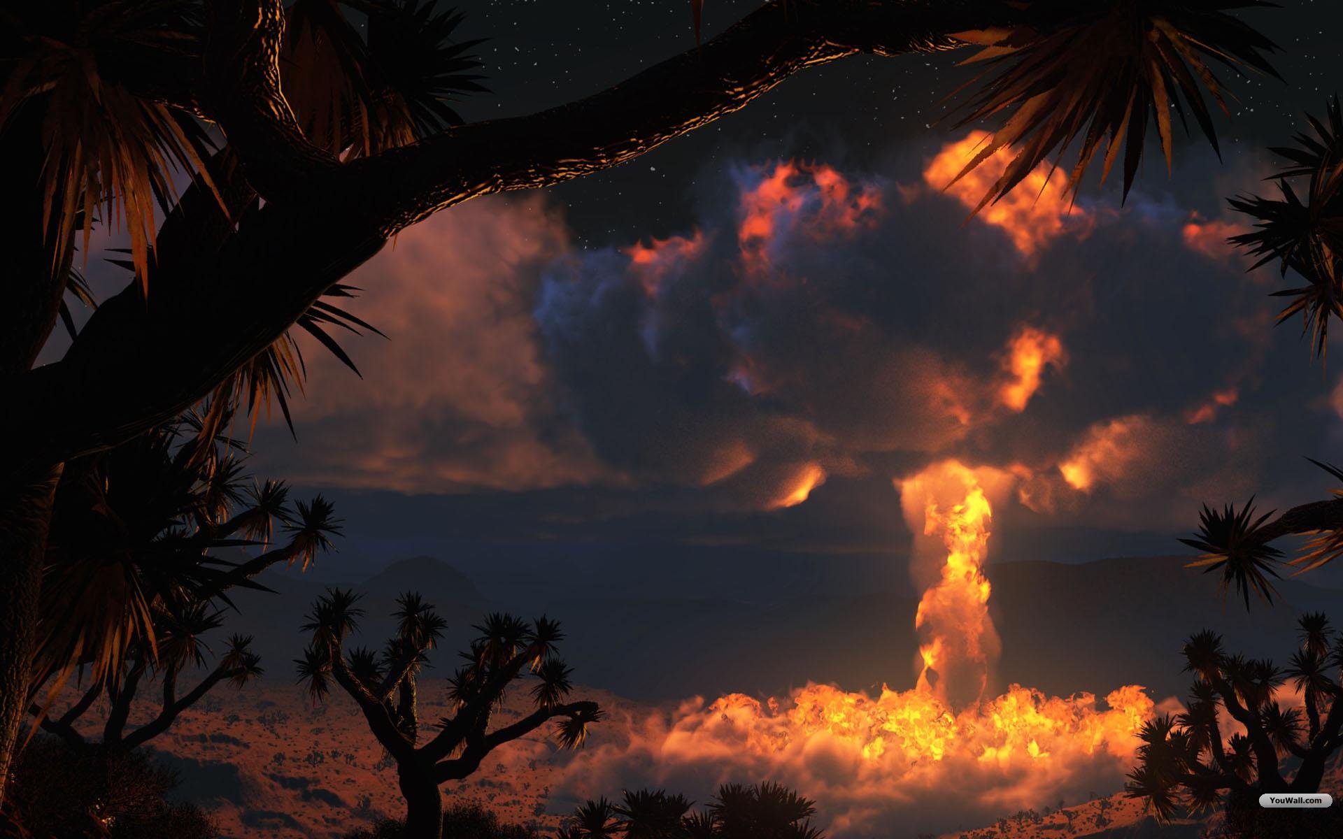 fondo de pantalla de bomba,cielo,naturaleza,nube,árbol,puesta de sol