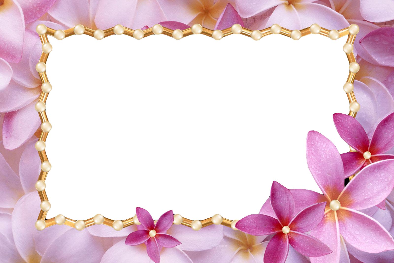 wallpaper frame love,picture frame,petal,lilac,pink,purple