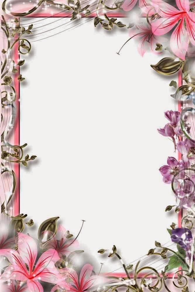 wallpaper frames design,picture frame,pink,plant,interior design,petal