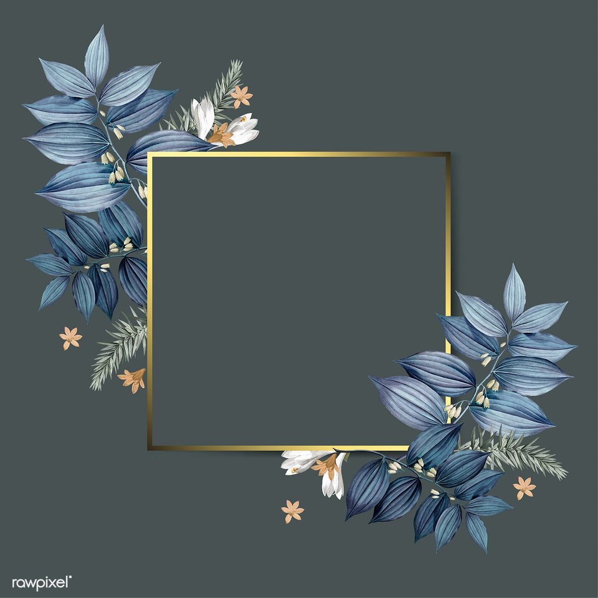 wallpaper frames design,plant,rectangle,flower,picture frame,interior