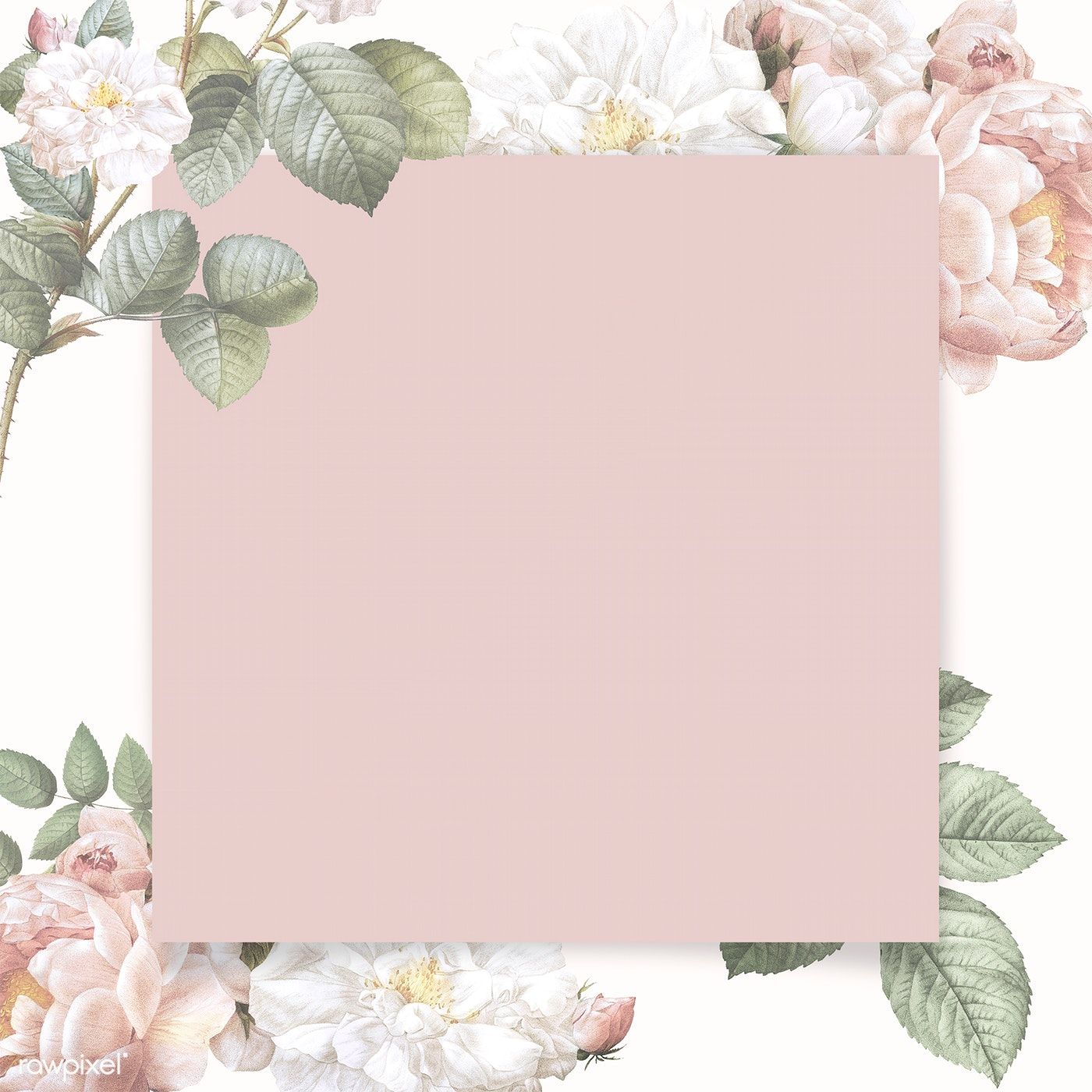 wallpaper frames design,pink,picture frame,plant,flower,paper